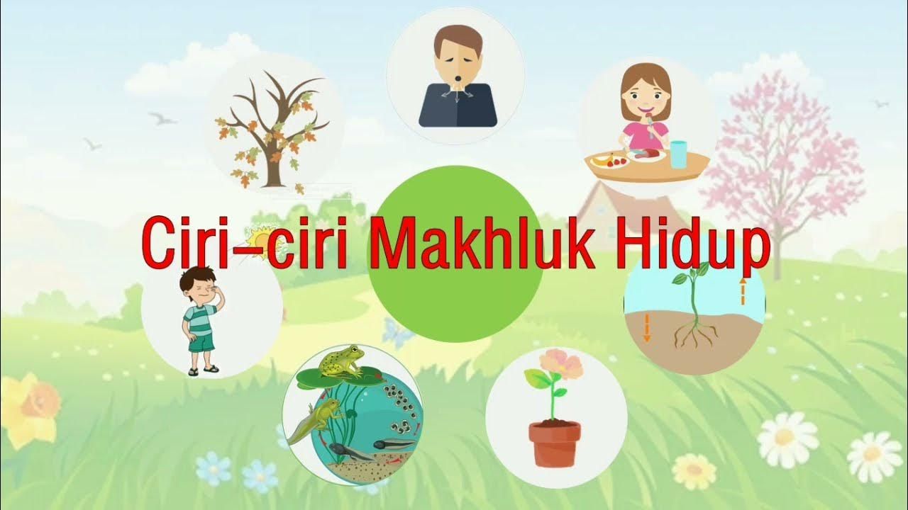 Ciri-ciri Makhluk Hidup - Tematik Kelas 3 SD Materi IPA Tema 1